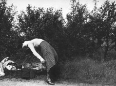 Agnès Geoffray expose au Festival ManifestO 2013 sa série de photographies Incidental Gestures