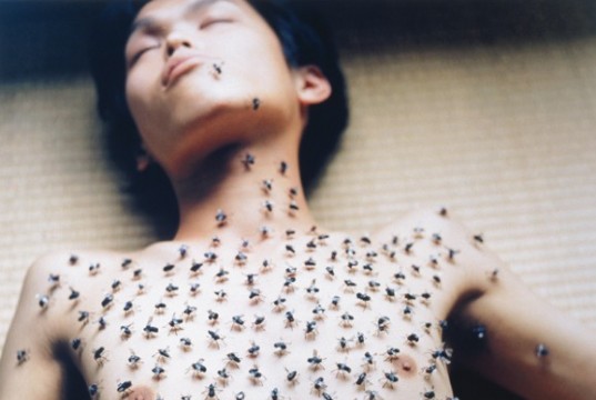 Rinko Kawauchi