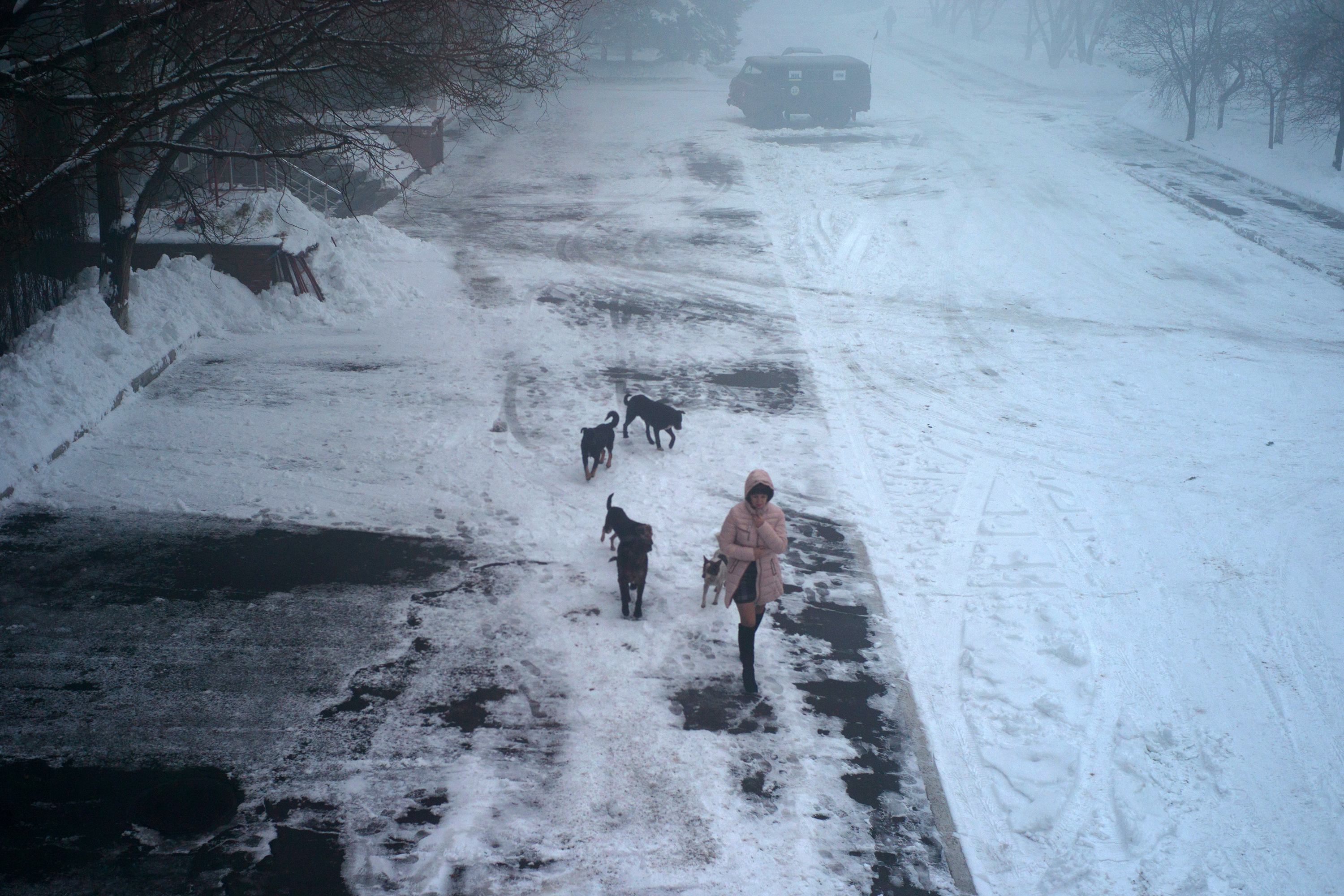 Ukraine : Avdiivka