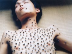 Rinko Kawauchi
