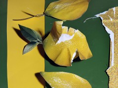 Daniel Gordon, FOAM Paul Huf Award